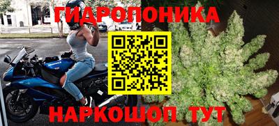 крисы Пыть-Ях