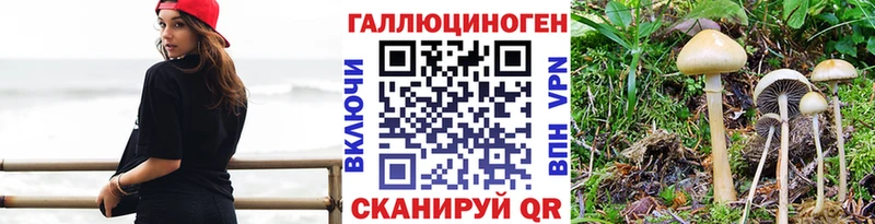 ОМГ ОМГ ONION Хасавюрт Галлюциногенные грибы Psilocybe